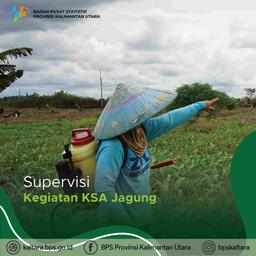 Supervisi Kegiatan KSA Jagung