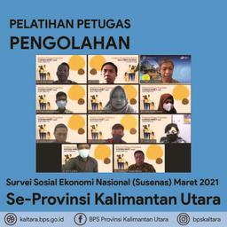 Pelatihan Petugas Pengolahan Susenas Maret 2021 Se-Provinsi Kalimantan Utara