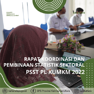 Rapat Koordinasi dan Pembinaan Statistik Sektoral PSST PL KUMKM Provinsi Kalimantan Utara 2022