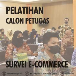 Pelatihan Calon Petugas Survei E-Commerce 2021 BPS Provinsi Kalimantan Utara