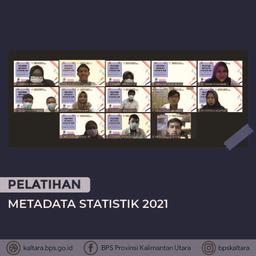 Pelatihan Metadata Statistik 2021 BPS Provinsi Kalimantan Utara