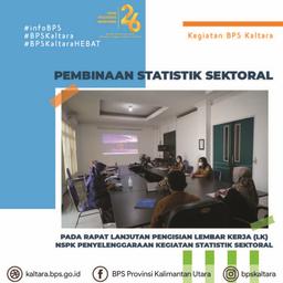 Pembinaan Statistik pada Rapat Pengisian LK NSPK Penyelenggaraan Statistik Sektoral 2021